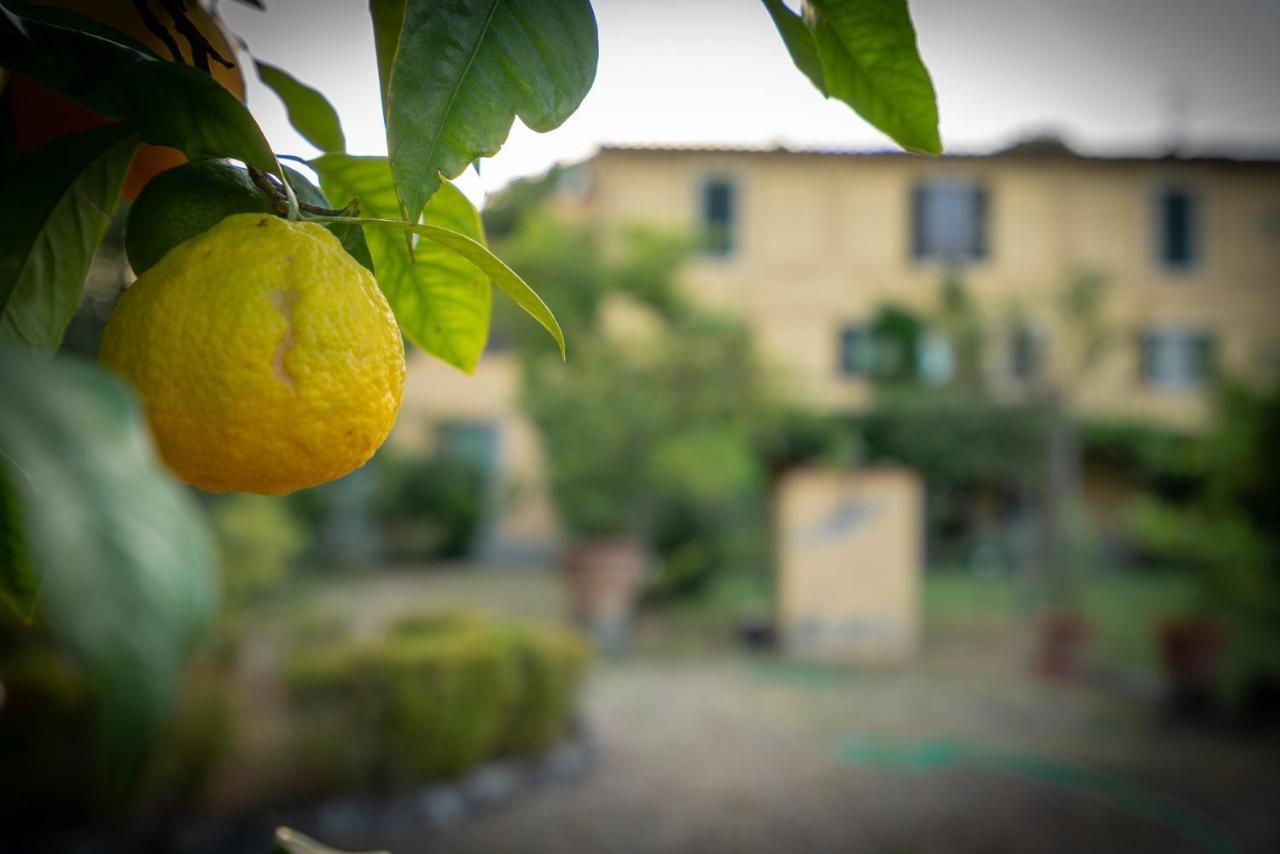 Villa Ape Rosa Relais Флоренция Экстерьер фото
